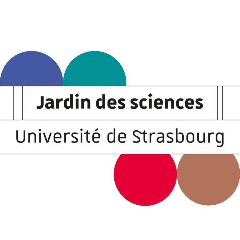 Aventure en Jungle Urbaine – Les partenaires du projet
